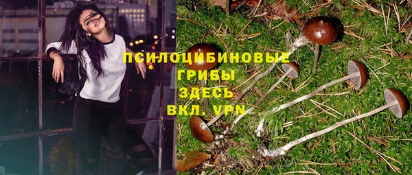прущая мука Кулебаки