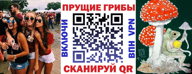 Галлюциногенные грибы GOLDEN TEACHER  Купить закладки  Слюдянка 